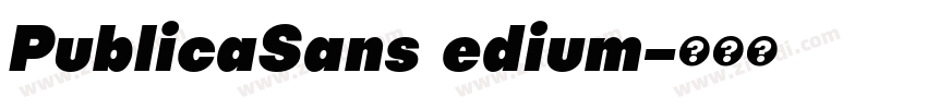 PublicaSans edium字体转换